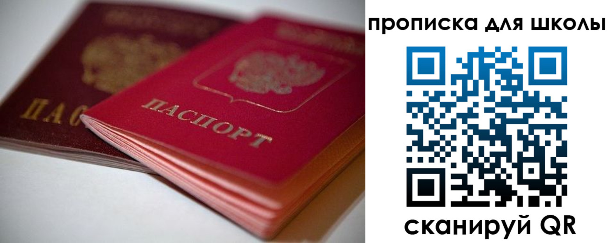 прописка для школы в Ржеве